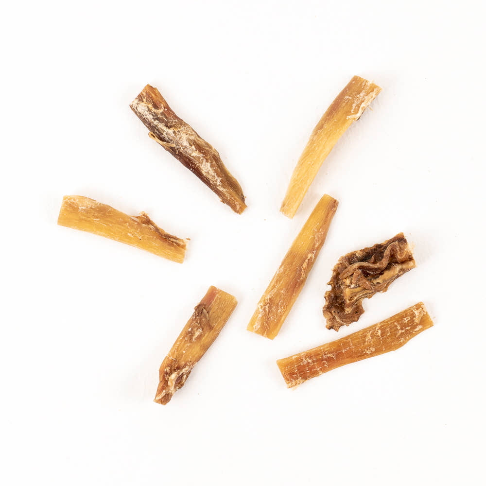 강아지 사슴힘줄 급여 모습