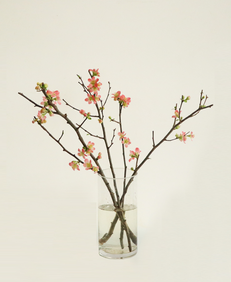 [주문폭주] 코랄 산당화 - 인플루언서 인테리어, 생화 제철 꽃가지 동양미 꽃배달 집꾸미기 정기구독 이미지 4