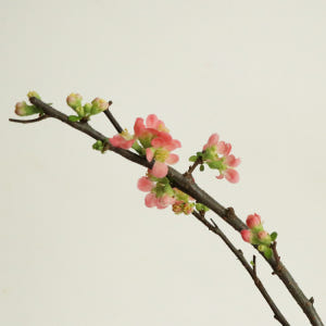 [주문폭주] 코랄 산당화 - 인플루언서 인테리어, 생화 제철 꽃가지 동양... 솔직 후기 | 실사용자 리뷰 분석 - 상품 이미지 3