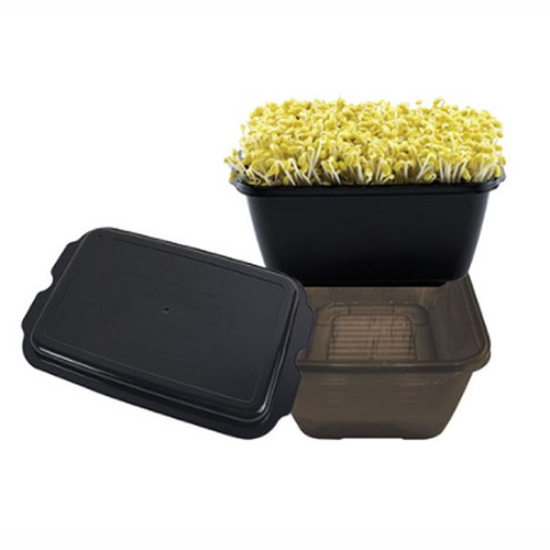 콩나물키우기 재배키트 국산콩나물콩 100g 포함 - 상세 이미지 4