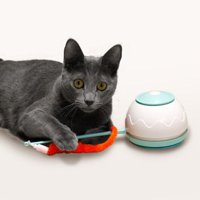 리스펫 고양이 장난감 움직이는 자동 멀티 꼬리잡기