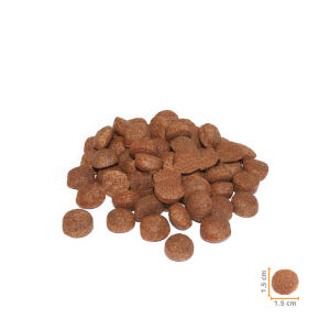 보나시보 어덜트 강아지사료 하이에너지, 15kg, 1개 솔직 후기 | 실제 사용자 리뷰 총정리 - 상품 이미지 4