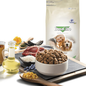 보나시보 어덜트 강아지사료 램+라이스, 4kg, 1개 솔직 후기 | 실제 사용자 리뷰 총정리 - 상품 이미지 3