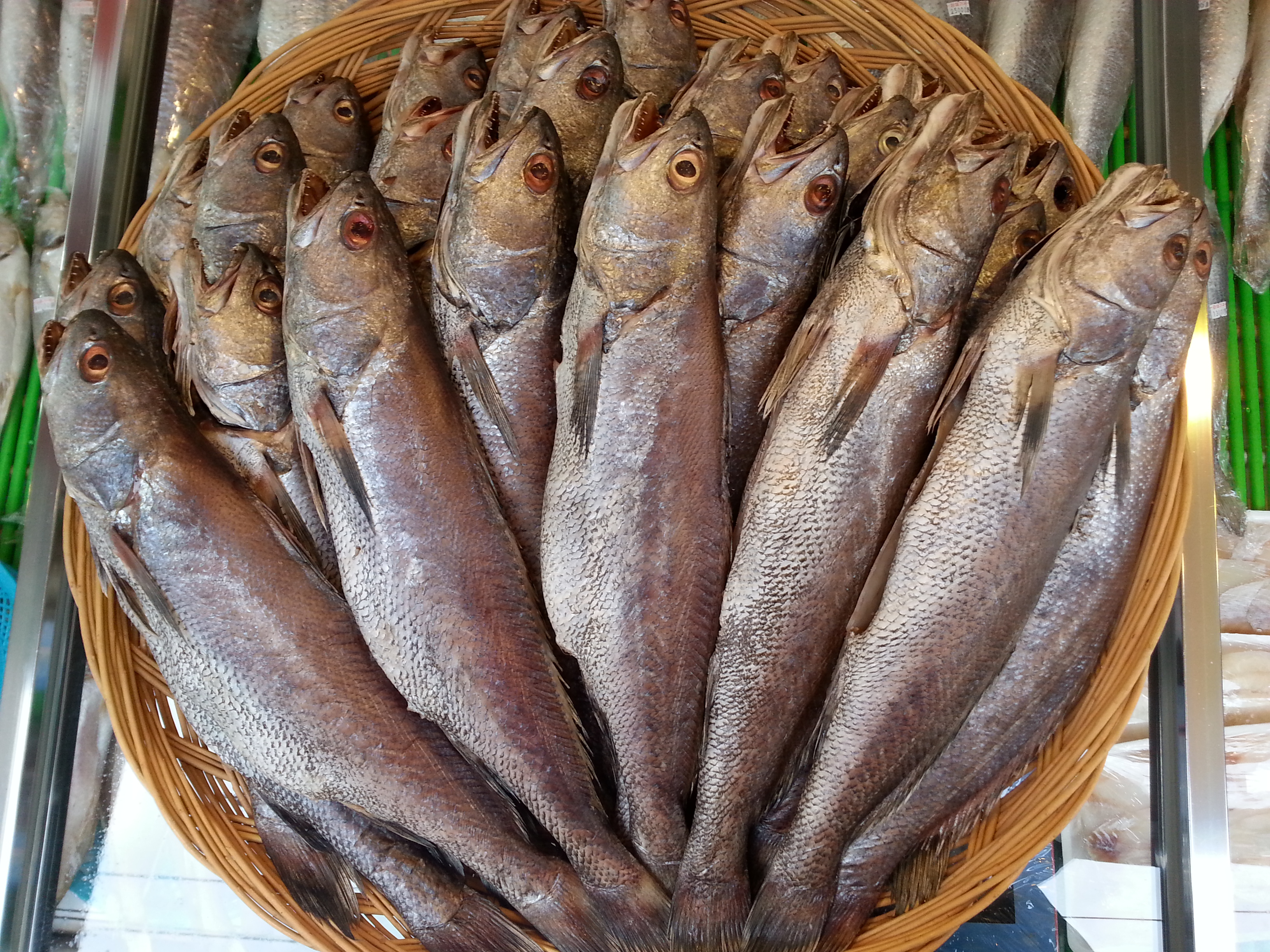 제수용생선 국산민어 39-40cm 생선맛집 싱싱수산 - 상품 이미지
