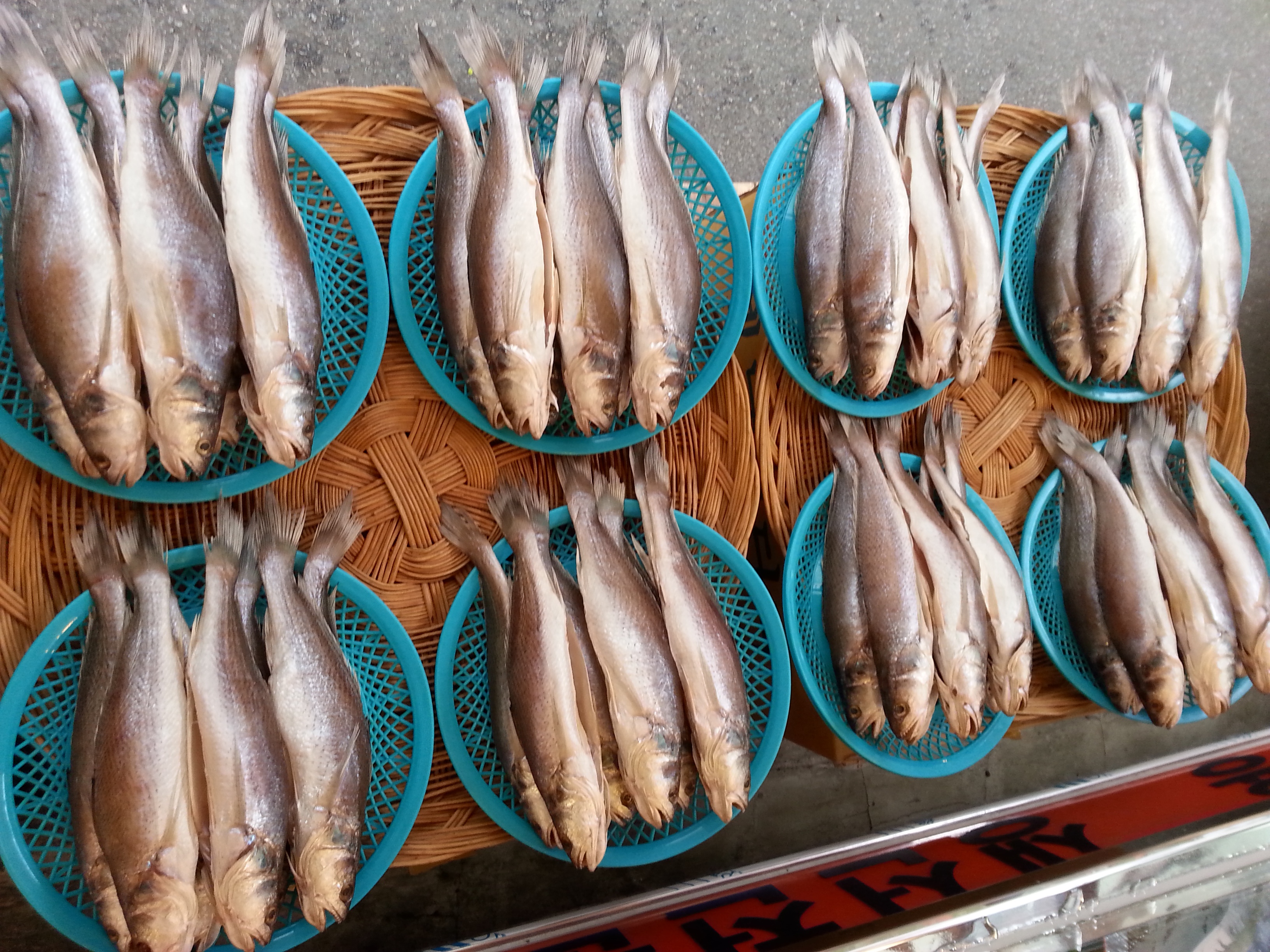 뾰족조기 31~33cm 4마리 제수용생선 말린생선 반건조생선 파는곳 싱싱수산