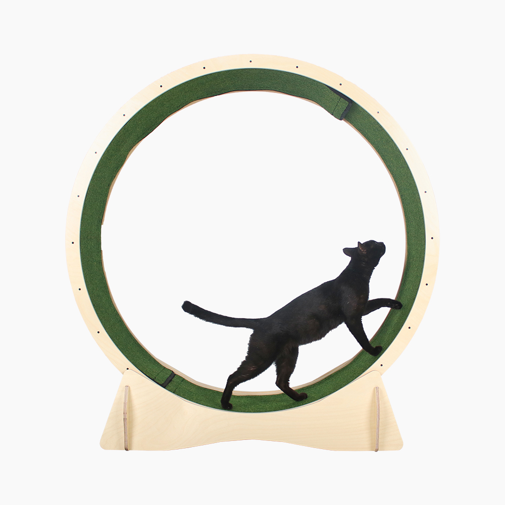 고양이 캣휠 무소음바퀴 원목 초대형 카펫포함