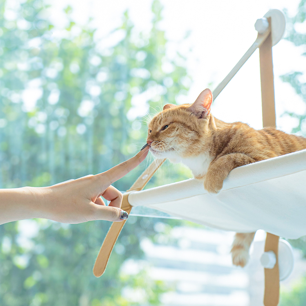 펫트리움 고양이 부뚜막 해먹 창문해먹 침대