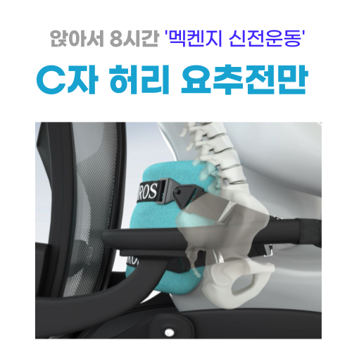 카이로스 척추쿠션 사무실 의자 등받이 허리 받침대 허리디스크 통증 쿠션 요추 전만 지지대