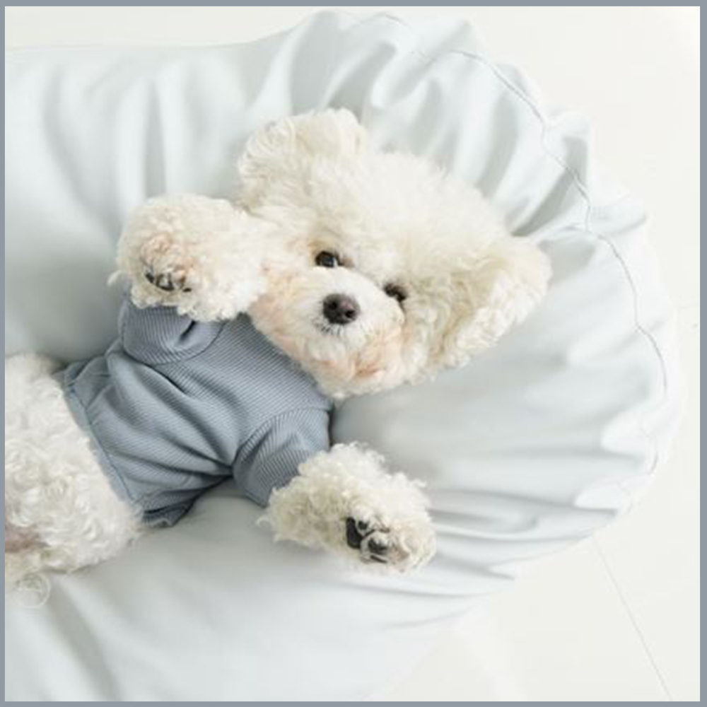 개과천선 구름 범퍼 강아지 방석 푹신한 쿠션 마약방석 고양이 침대 애견방석 극세사 매트