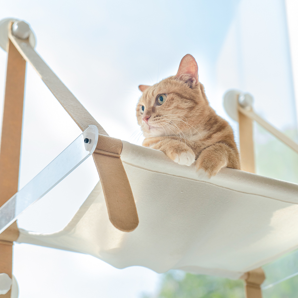 펫트리움 고양이 부뚜막 해먹 창문해먹 침대