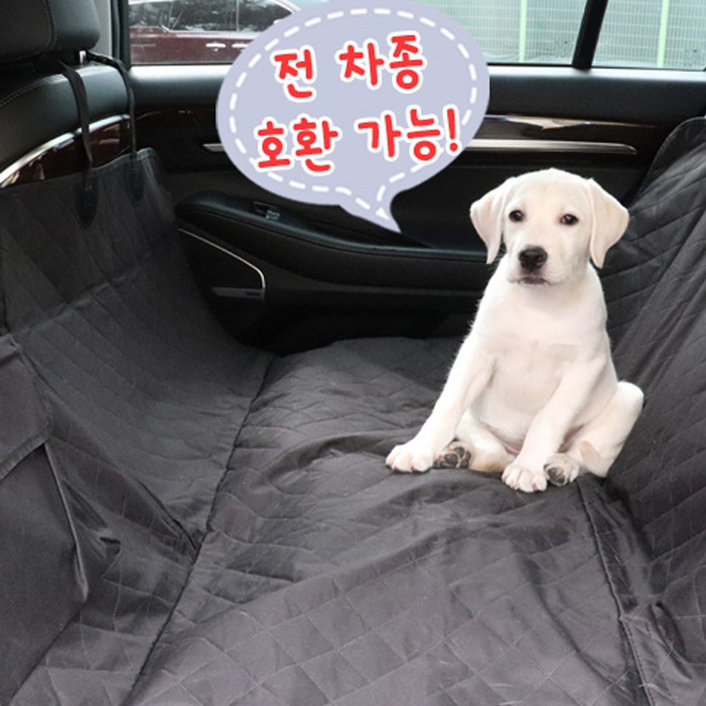 개과천선 뒷좌석 강아지 카시트 자동차 애견 카시트 차량용 차시트 중형견 대형견 반려견