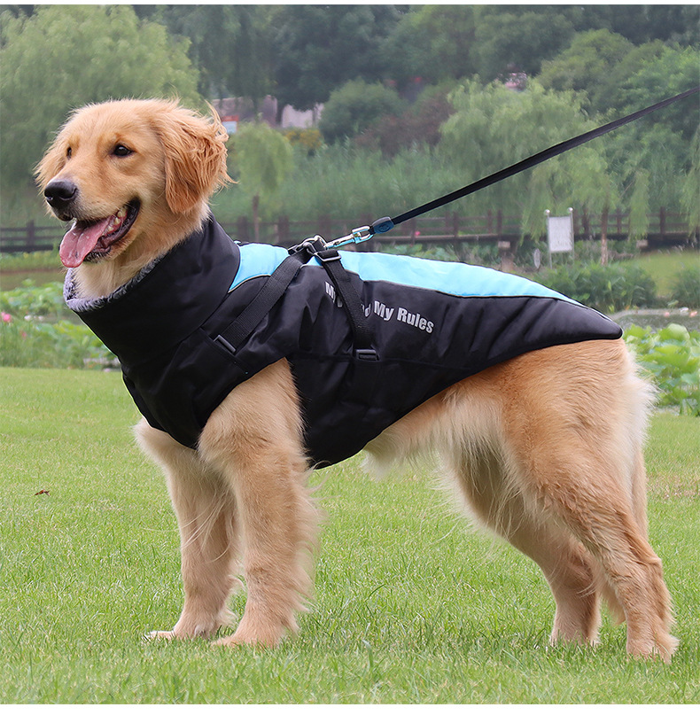 강아지패딩 하네스 대형견 패딩 조끼 겨울옷 진돗개 XL