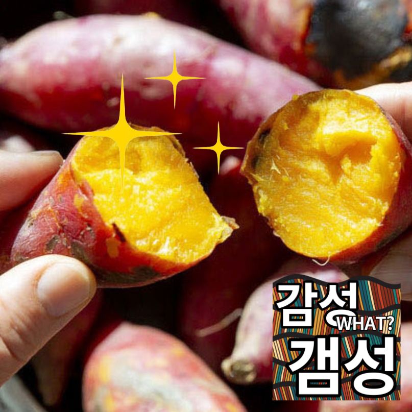 마사토 한입 고구마 해남 꿀고구마 황토 밤 고구마 2kg - 상세 이미지 2