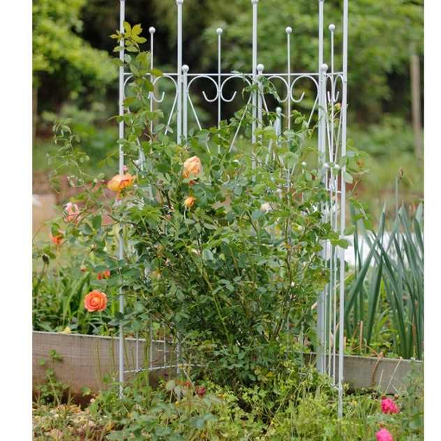 경량 칸막이 공사 금속 파티션 가림막 설치 타공 파티션 셀프 가벽 스틸 디자인 카페 공간