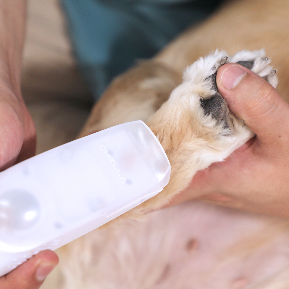 오엘라 저소음 흡입식 애견 이발기 PC01