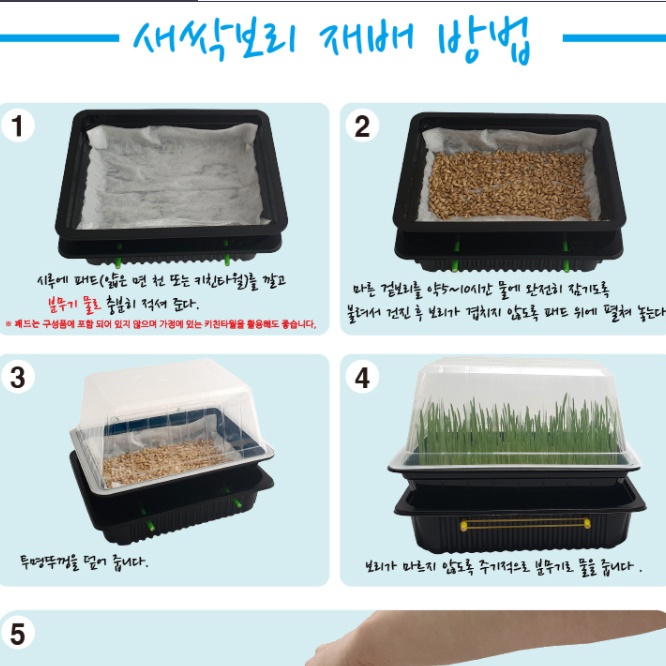 새싹보리 재배기 세트 새싹 보리 키우기 키트 자동 관수 - 상세 이미지 3