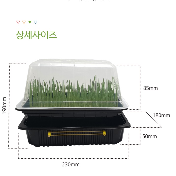 새싹보리 재배기 세트 새싹 보리 키우기 키트 자동 관수 - 상세 이미지 2