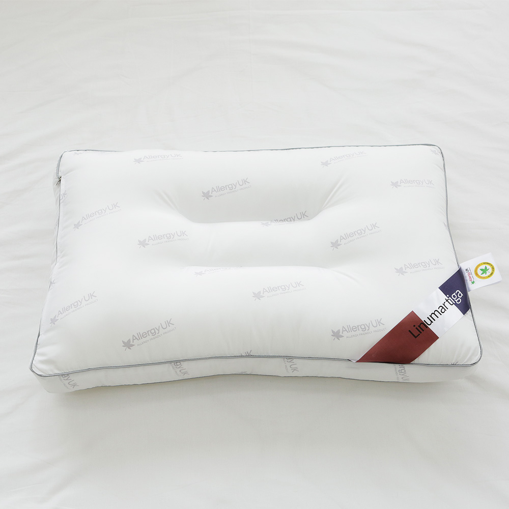 리눔아티카 국내산 마이크로화이바 알러지케어 경추베개