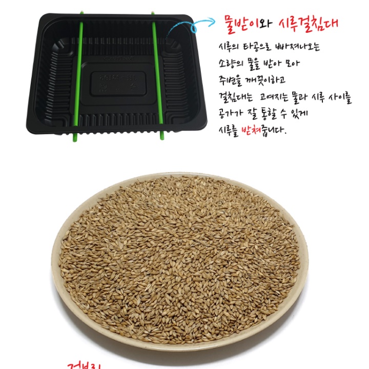 새싹보리 재배기 세트 새싹 보리 키우기 키트 자동 관수 - 상세 이미지 4