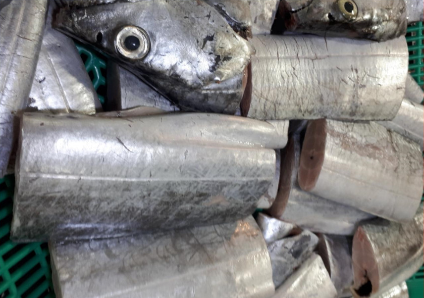 목포먹갈치 왕특대갈치 1마리 손질갈치 생갈치 (조업당일발송상품)