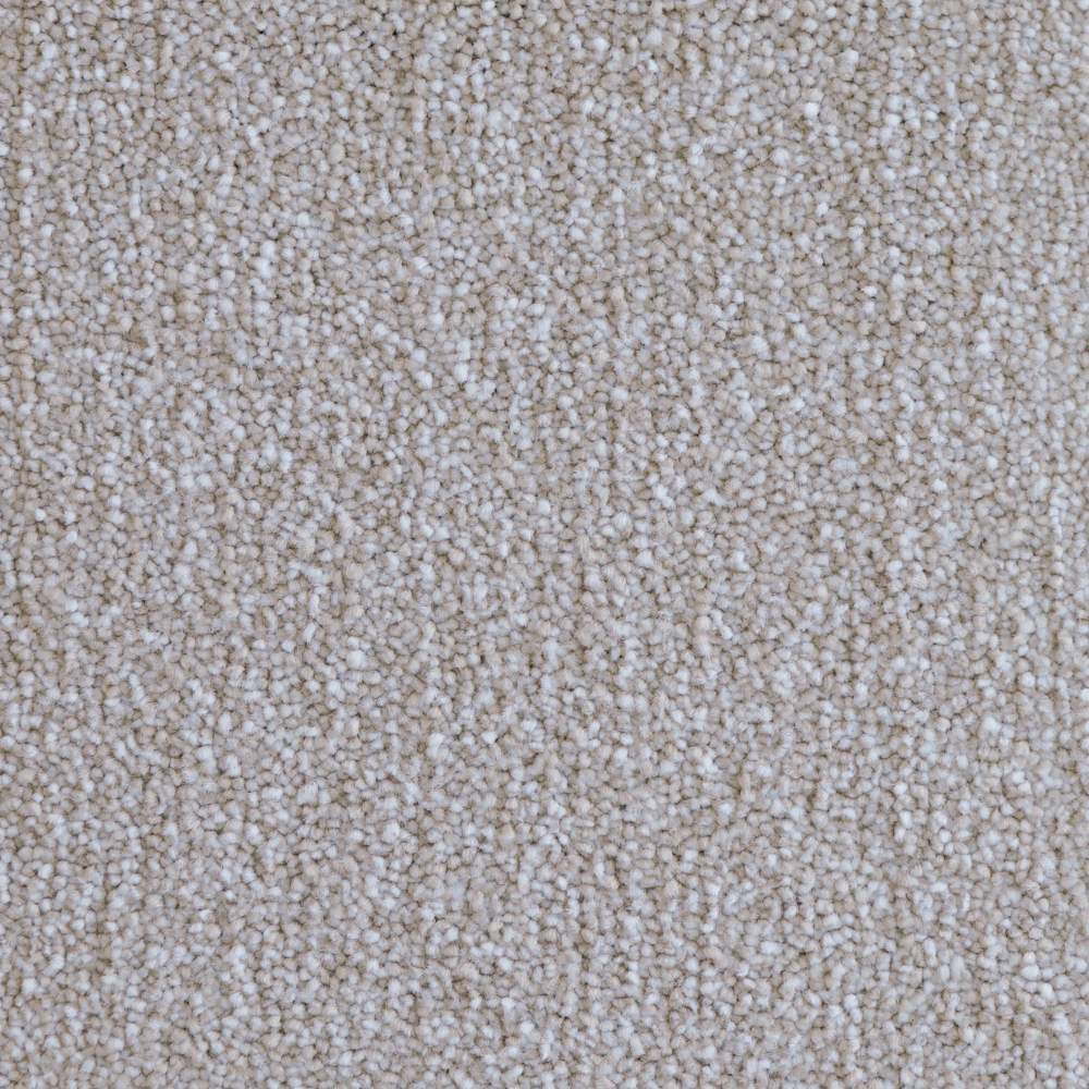 벨기에 AW 수입카페트 비바 단모 사계절 고급 거실러그 4색상 맞춤가능 150X200