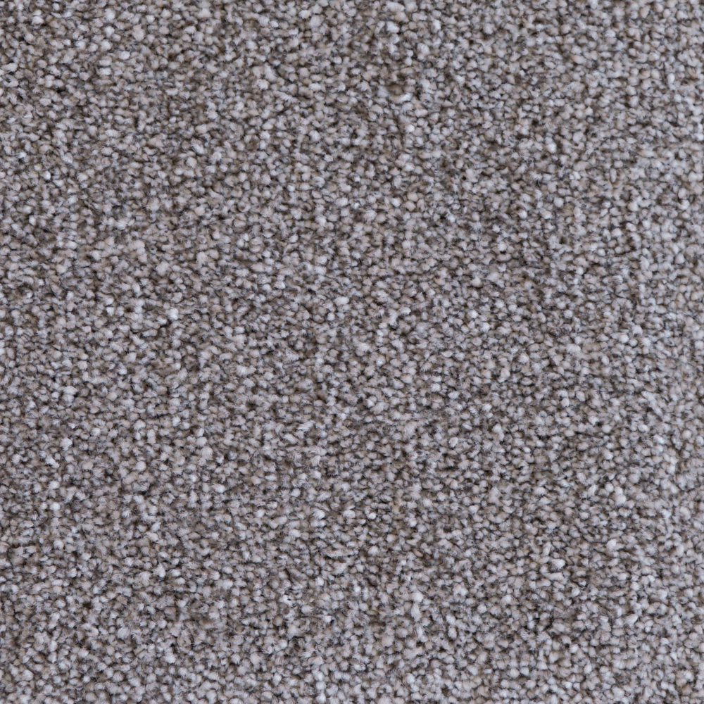 벨기에 AW 수입카페트 비바 단모 사계절 고급 거실러그 4색상 맞춤가능 150X200