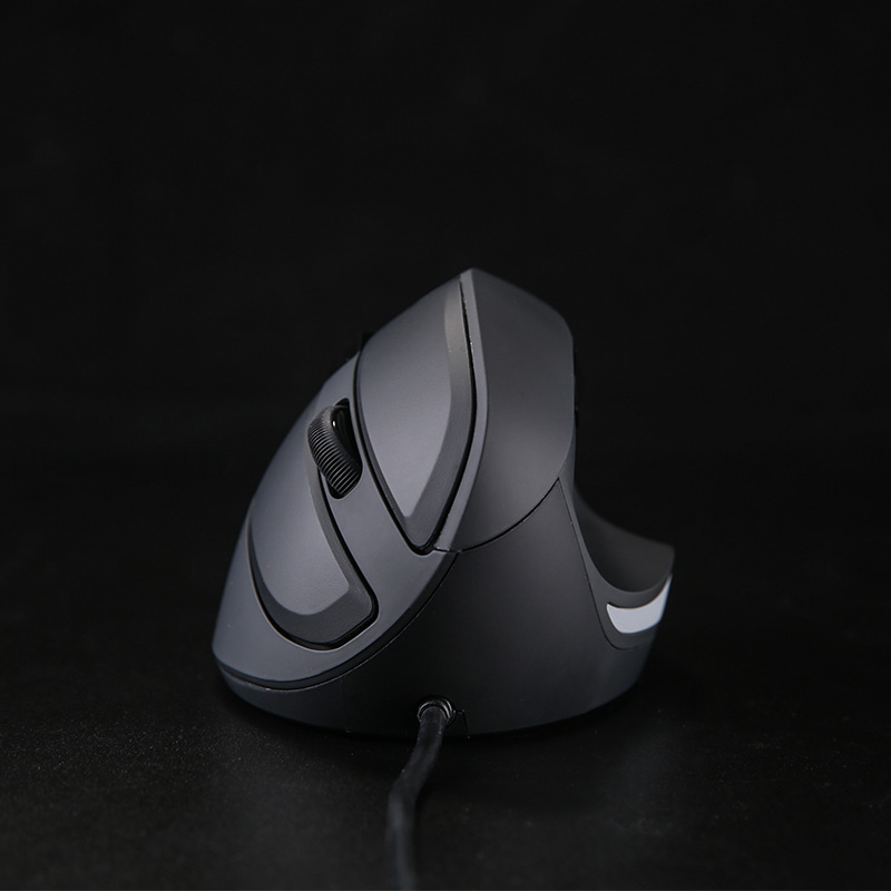 다얼유 LM121 RGB 인체공학 버티컬 마우스