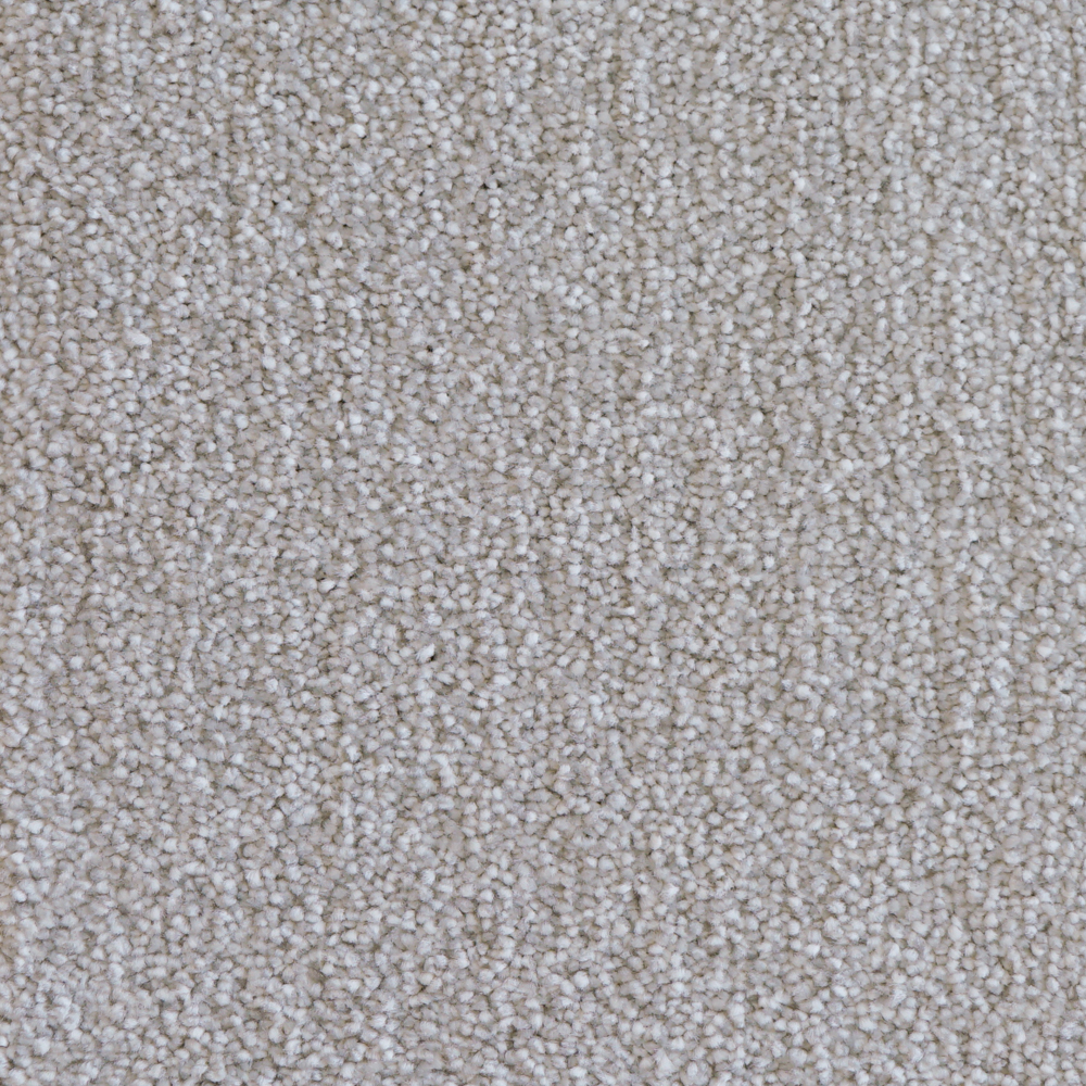 벨기에 AW 수입카페트 비바 단모 사계절 고급 거실러그 4색상 맞춤가능 150X200