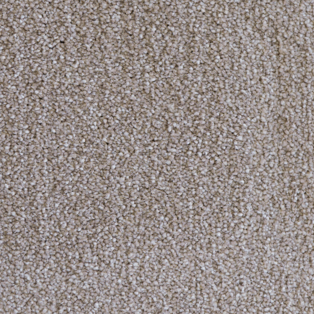 벨기에 AW 수입카페트 비바 단모 사계절 고급 거실러그 4색상 맞춤가능 150X200