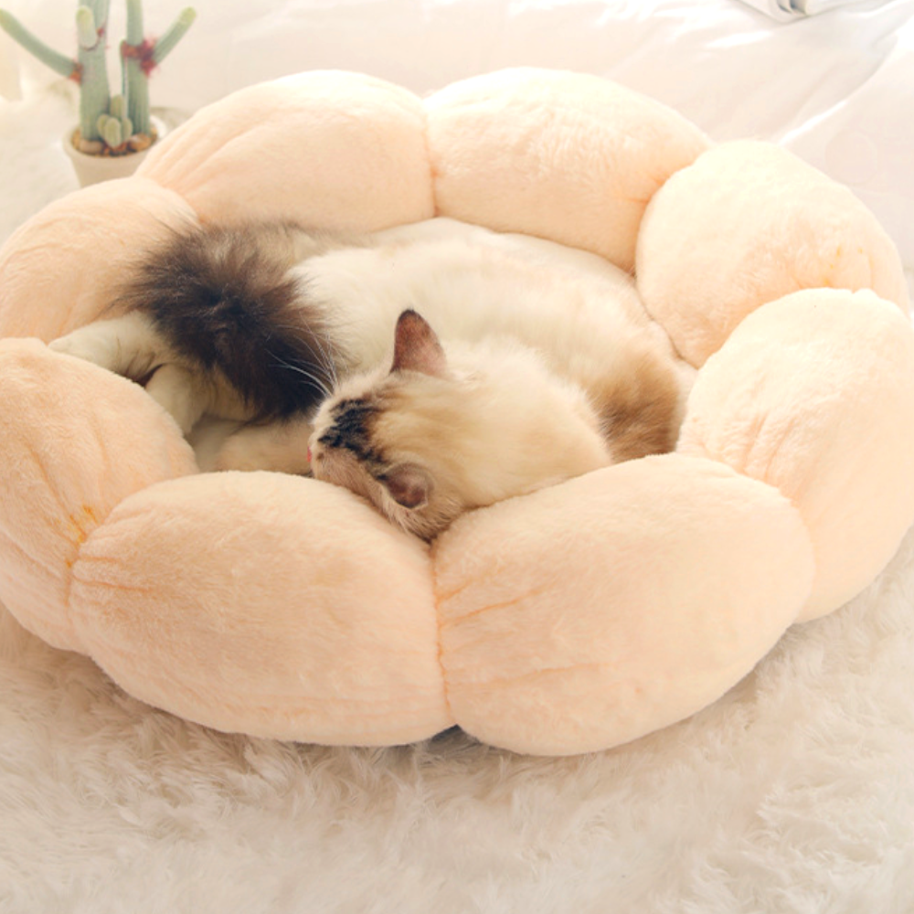 강아지 방석 고양이 마약 방석 애견 도넛 쿠션 침대 대형 꽃잎방석