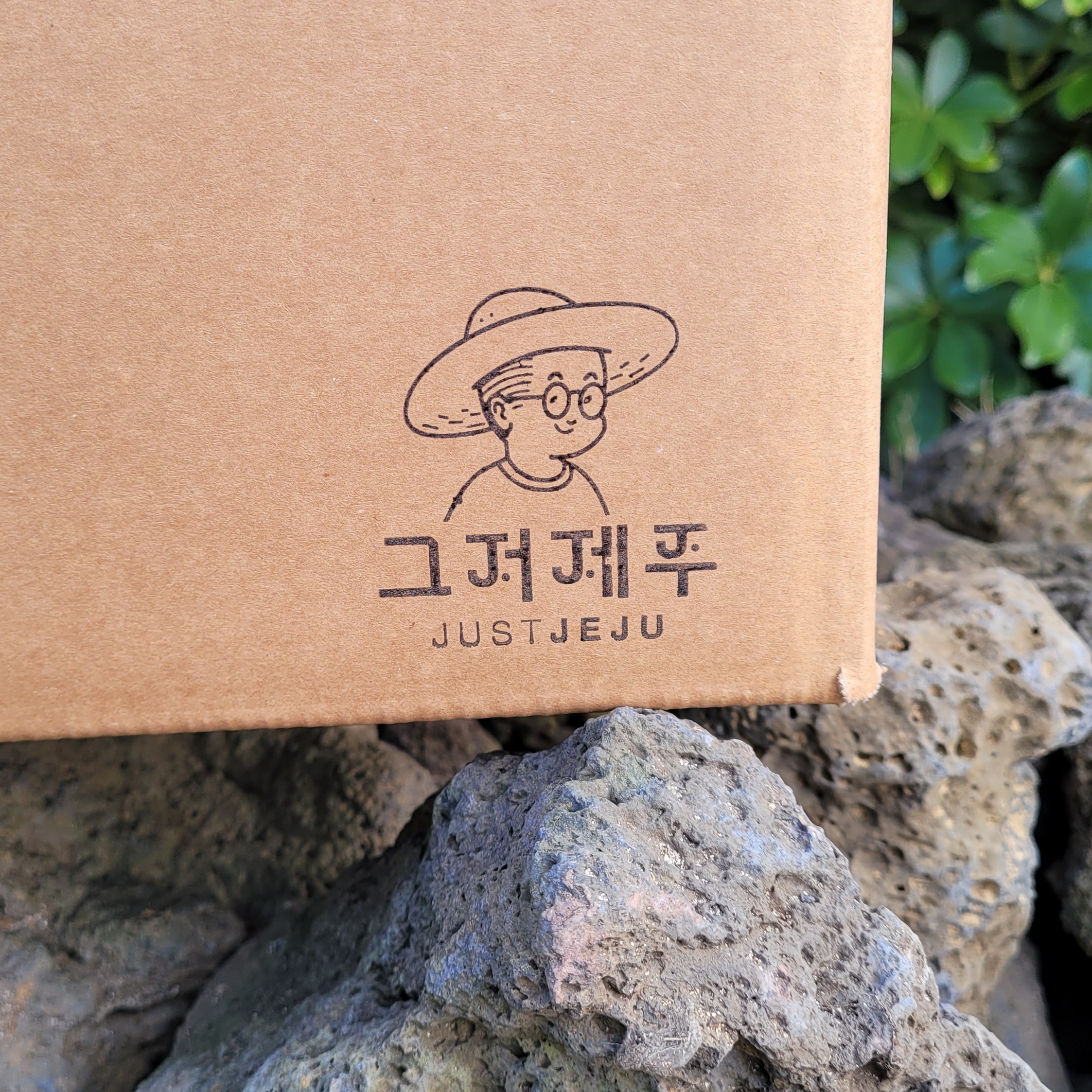 제주 구좌 흙 당근 3kg 이미지 6