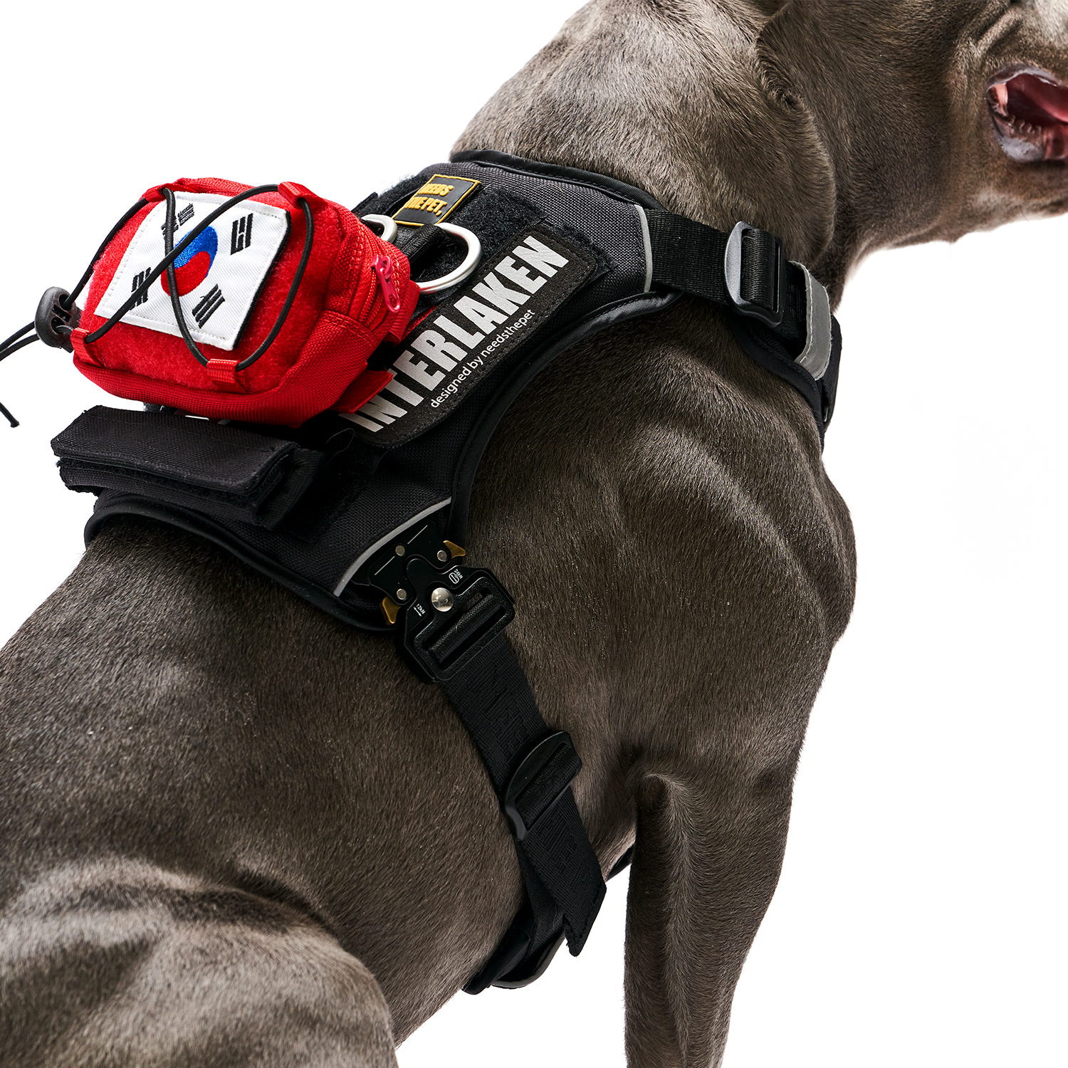 인터라켄 커스텀 강아지 하네스 H형 소형견 앞섬방지 앞고리 가슴줄 XXS