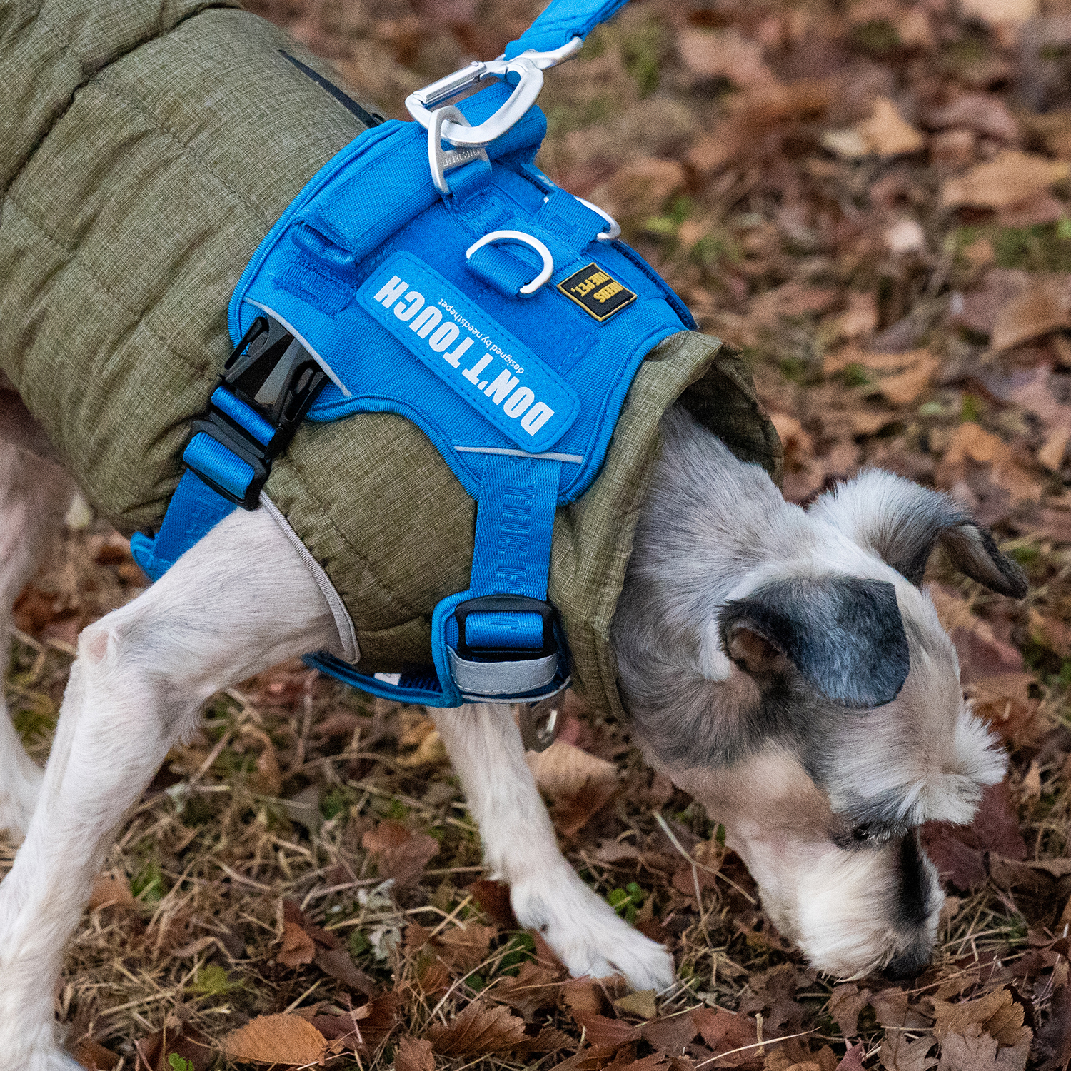 인터라켄 커스텀 강아지 하네스 H형 소형견 앞섬방지 앞고리 가슴줄 XXS