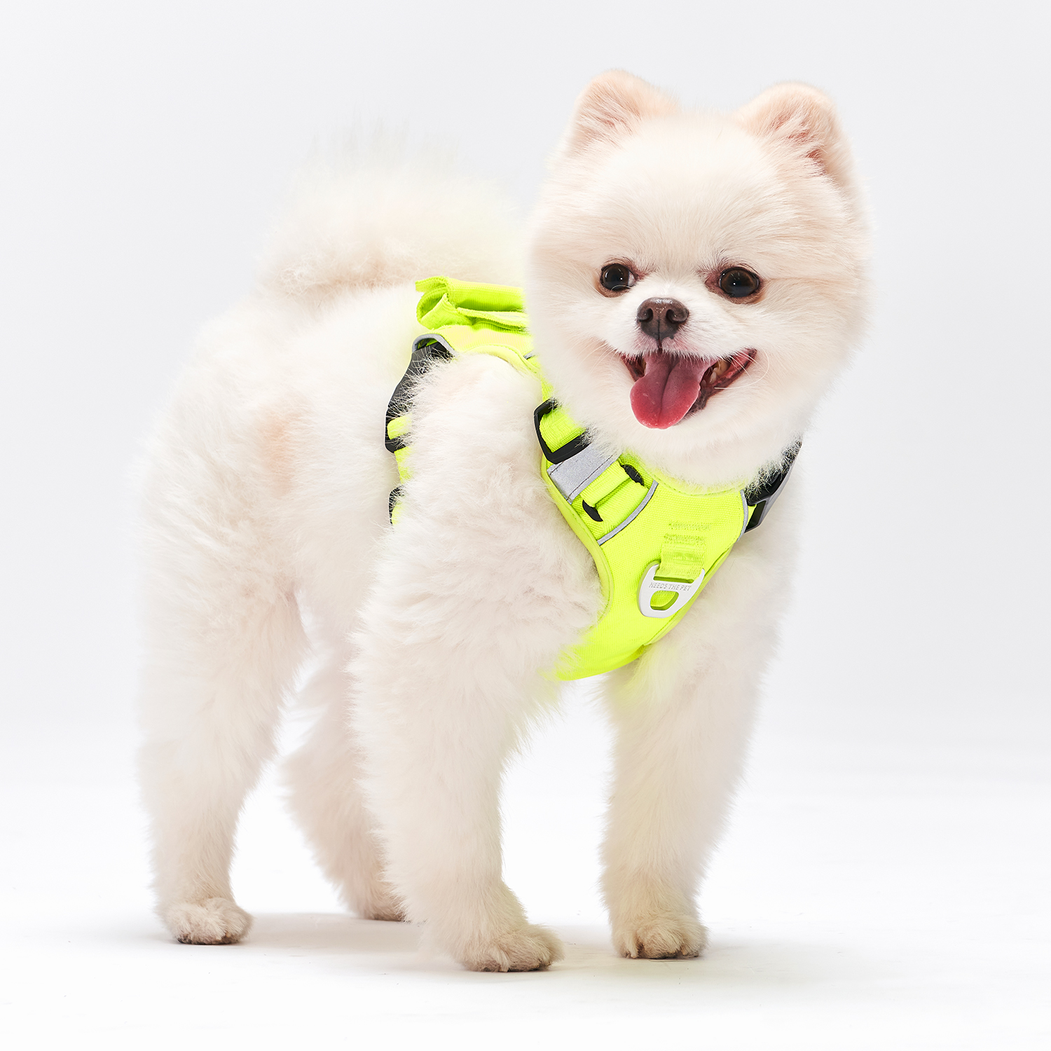 인터라켄 커스텀 강아지 하네스 H형 소형견 앞섬방지 앞고리 가슴줄 XXS