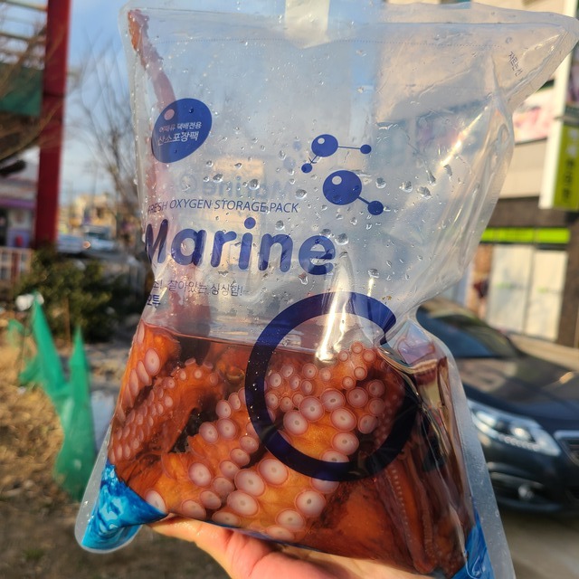 동해 삼척 문어 대왕 자숙 문어 대문어 구매가이드 생물 문어 후기 문어 1.5kg