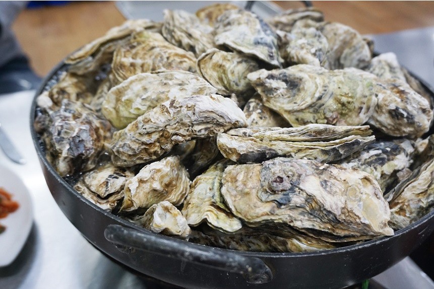 통영 삼배체굴 개체굴 2kg 사계절 대왕 석화 굴 - 상세 이미지 2