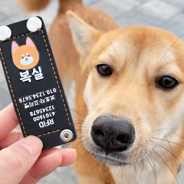 강아지 인식표 애견 이름표 똑딱이1개형 외장칩 일러스트번호 1