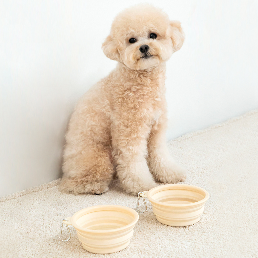 펫트리움 접이식 실리콘 보울 외출용 휴대용 강아지 밥그릇
