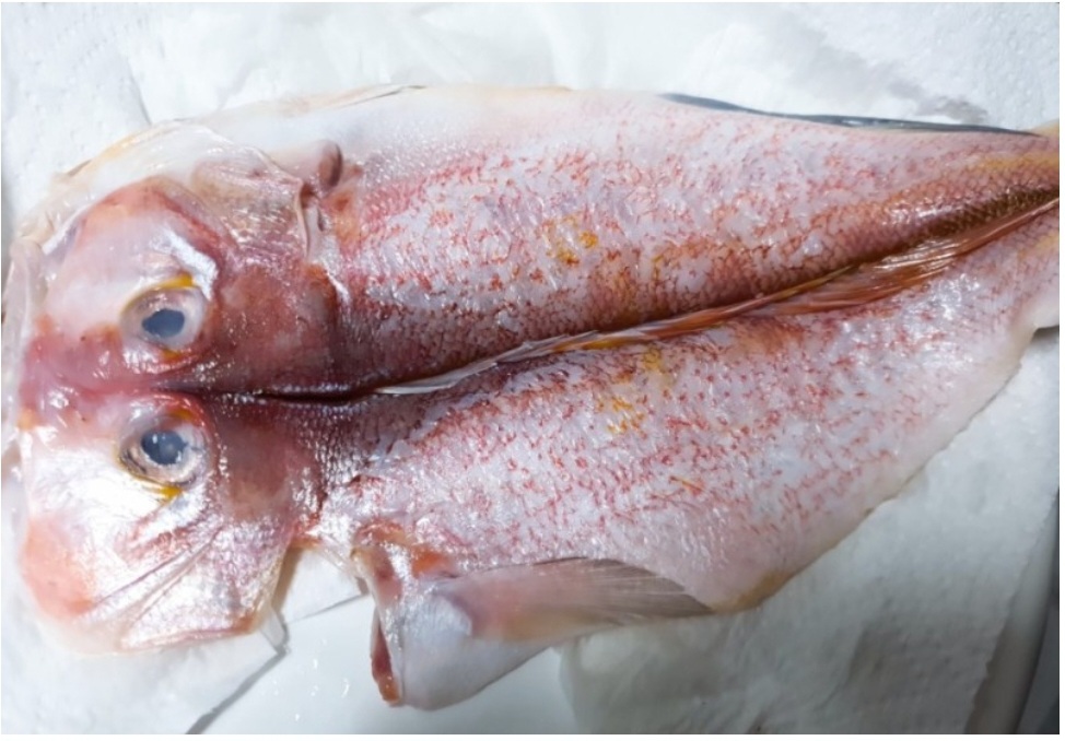 제주 동문시장 반건조옥돔 특대 3마리 1kg 제주산 옥돔구이 - 상세 이미지 3