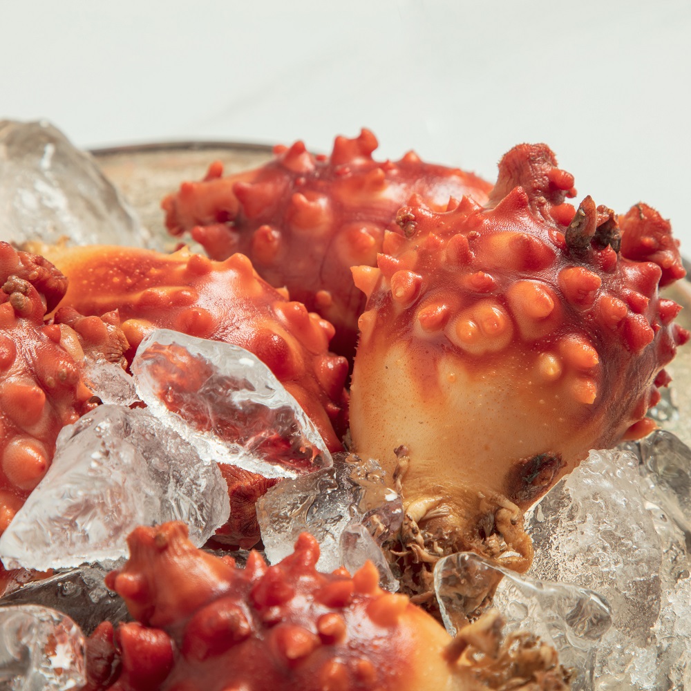 제철 멍게 1kg 통영 손질 깐 활멍게 멍게무침 멍게비빔밥