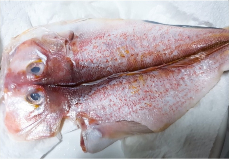 제주 동문시장 옥돔 반건조 말린 옥두어 산지직송 3미 4미 5미 1kg 명절 선물세트 - 상세 이미지 3