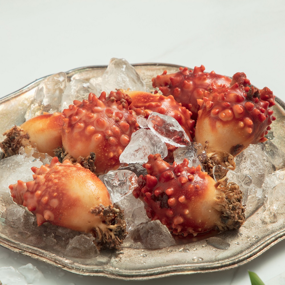 제철 멍게 1kg 통영 손질 깐 활멍게 멍게무침 멍게비빔밥