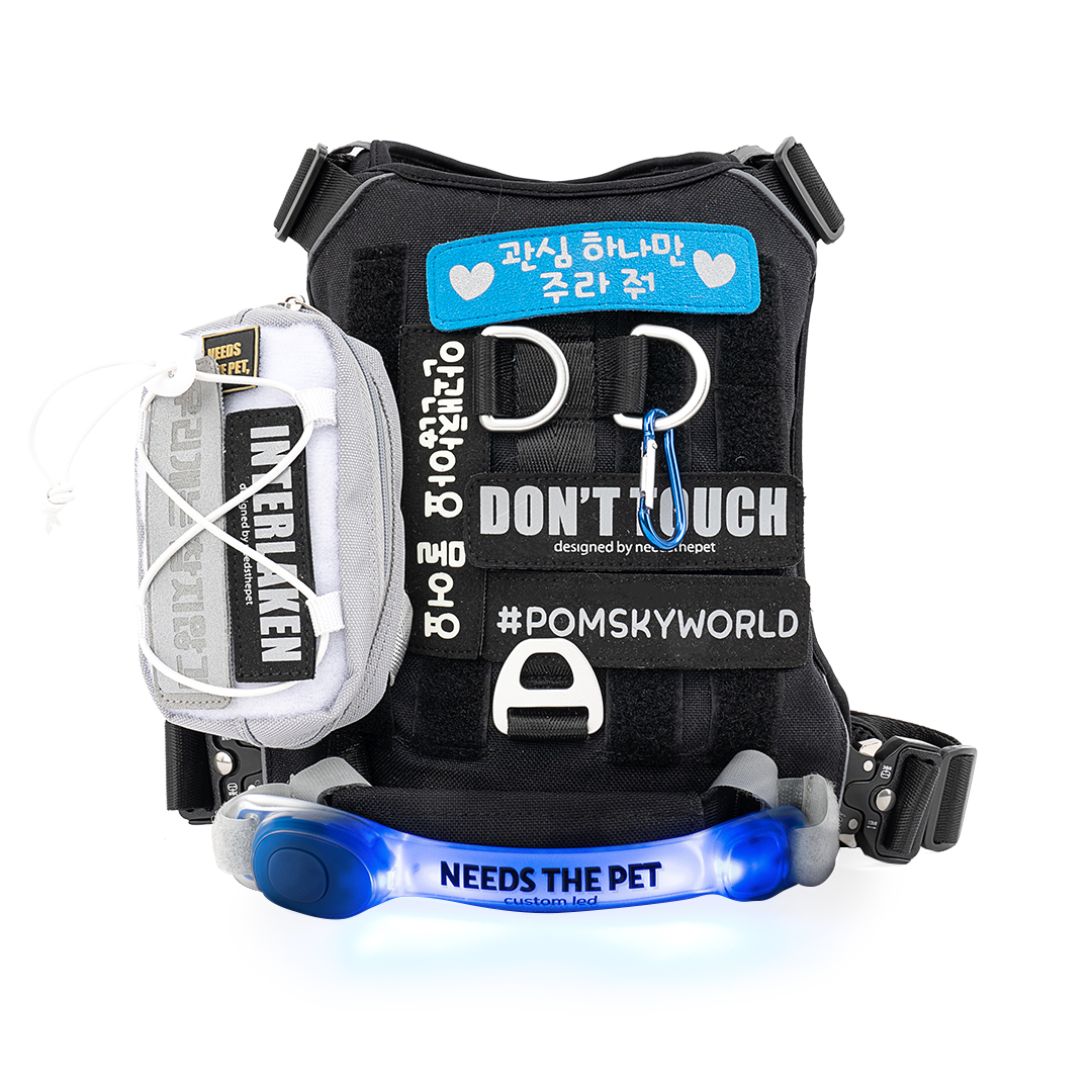 인터라켄 커스텀 강아지 하네스 H형 소형견 앞섬방지 앞고리 가슴줄 XXS
