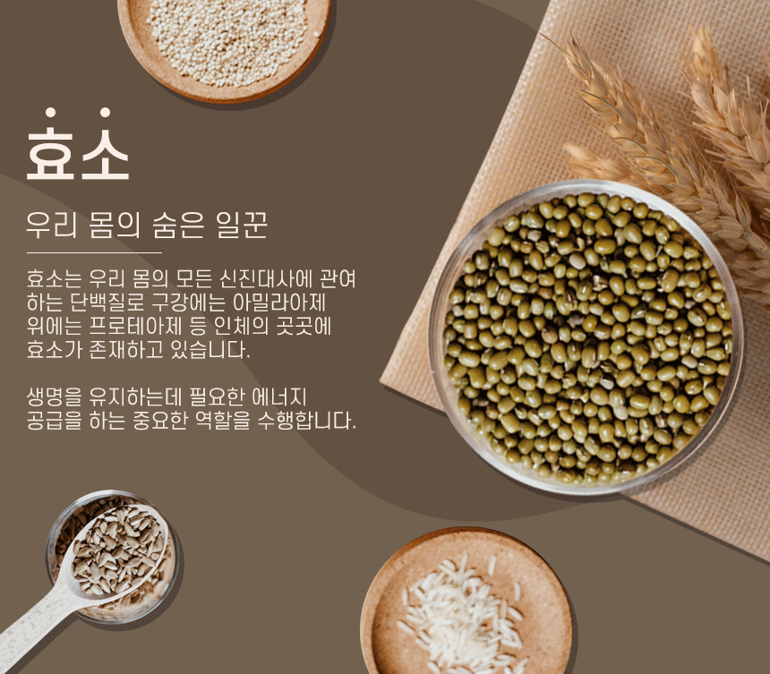 NATURE FACTORY :: 곡물 발효 효소 분말 "면역저하, 소화저하를 위한 식품" 8