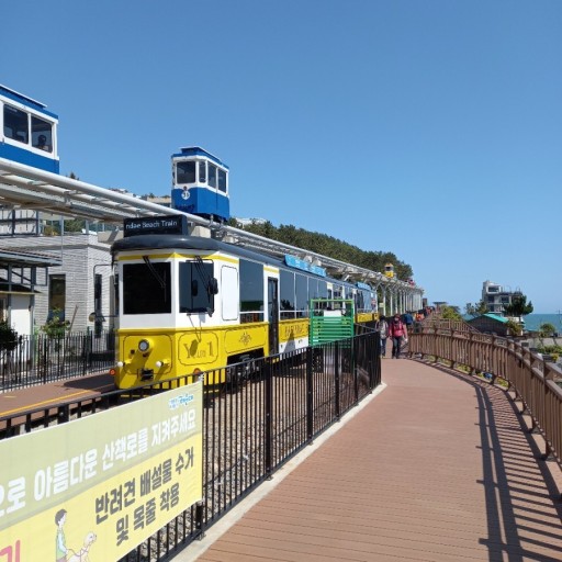 KTX 부산 시티투어 당일치기 기차여행 용궁사 해운대 해변열차 오시리아 중식 포함 패키지 - 상세 이미지 5