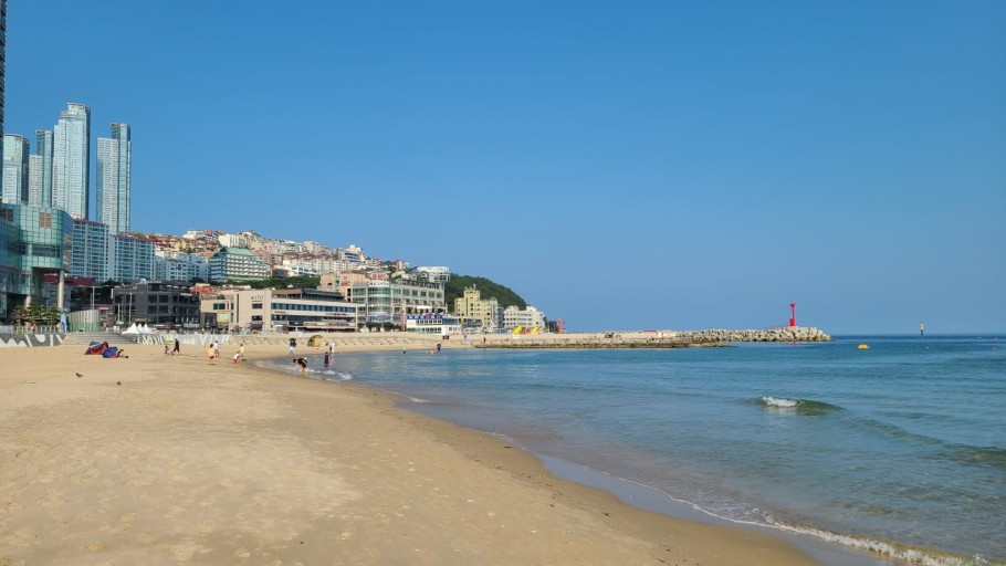 KTX 부산 시티투어 당일치기 기차여행 용궁사 해운대 해변열차 오시리아 중식 포함 패키지 이미지 8