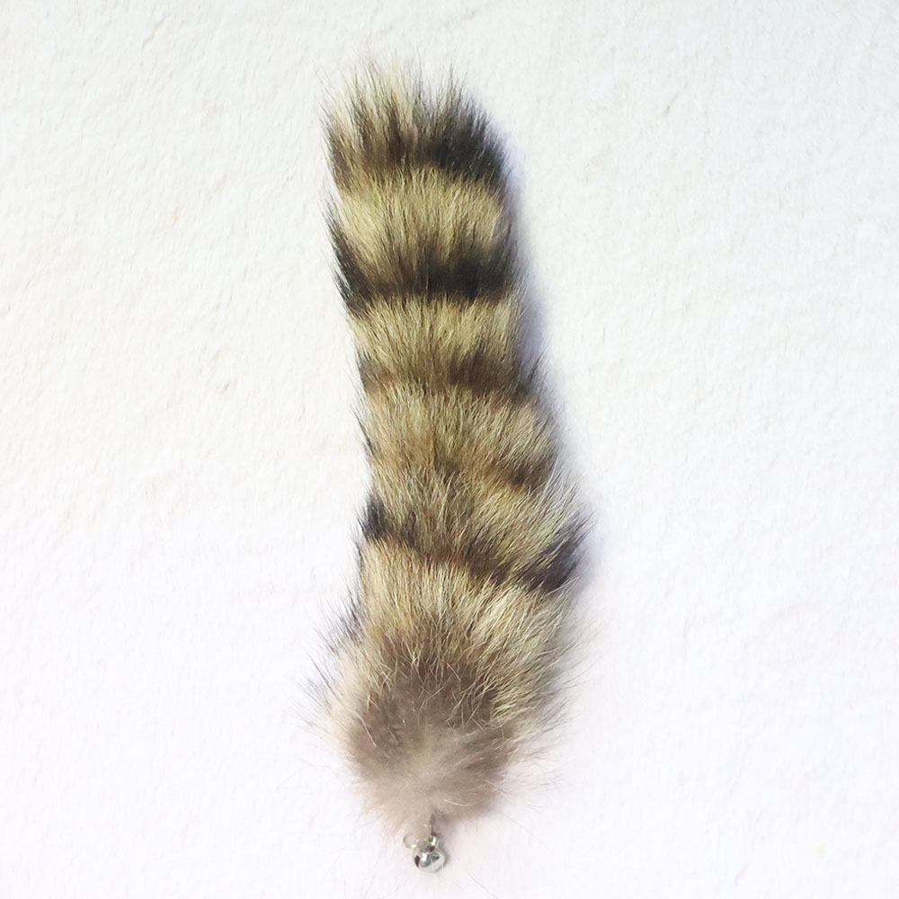 고양이 너구리 꼬리 라쿤테일 고급 낚시대 장난감 솔직 후기 | 실제 사용자 리뷰 총정리 - 대표 이미지