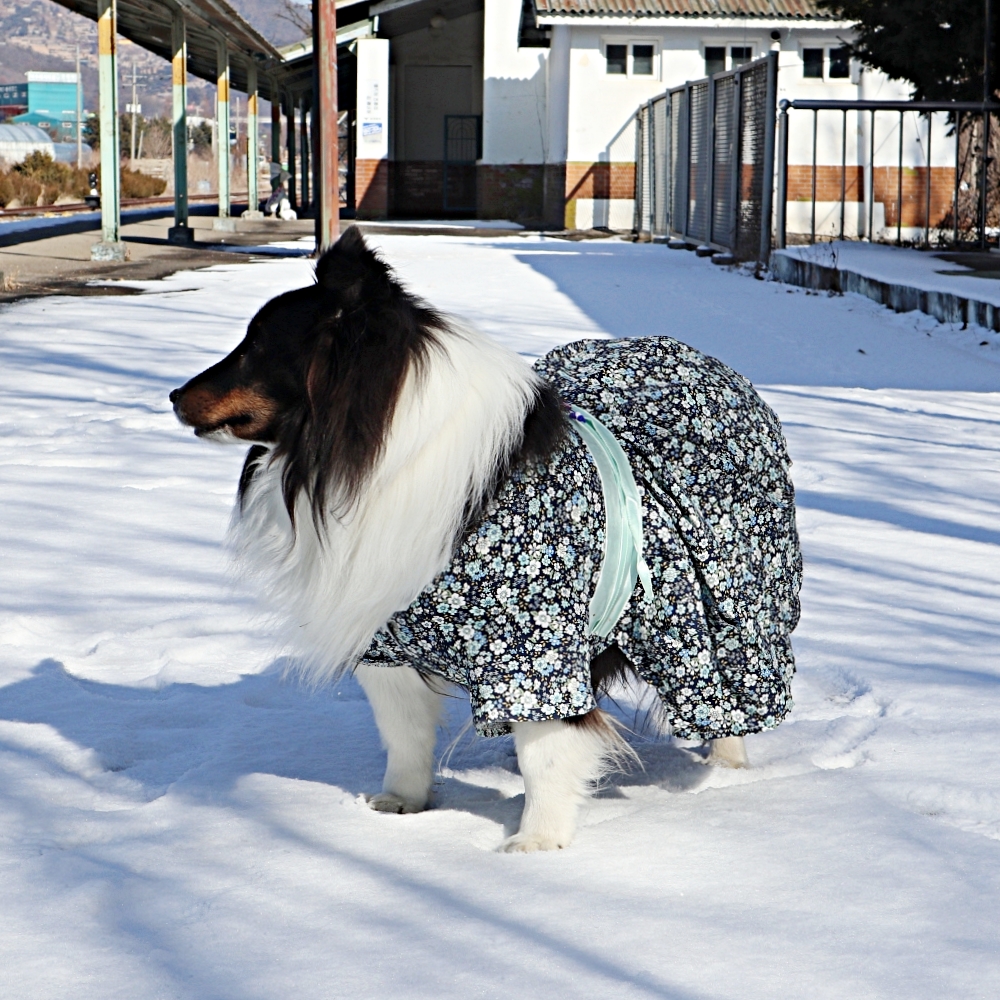 대형견한복 강아지 한복 원피스 배자 추석 설날 설빔