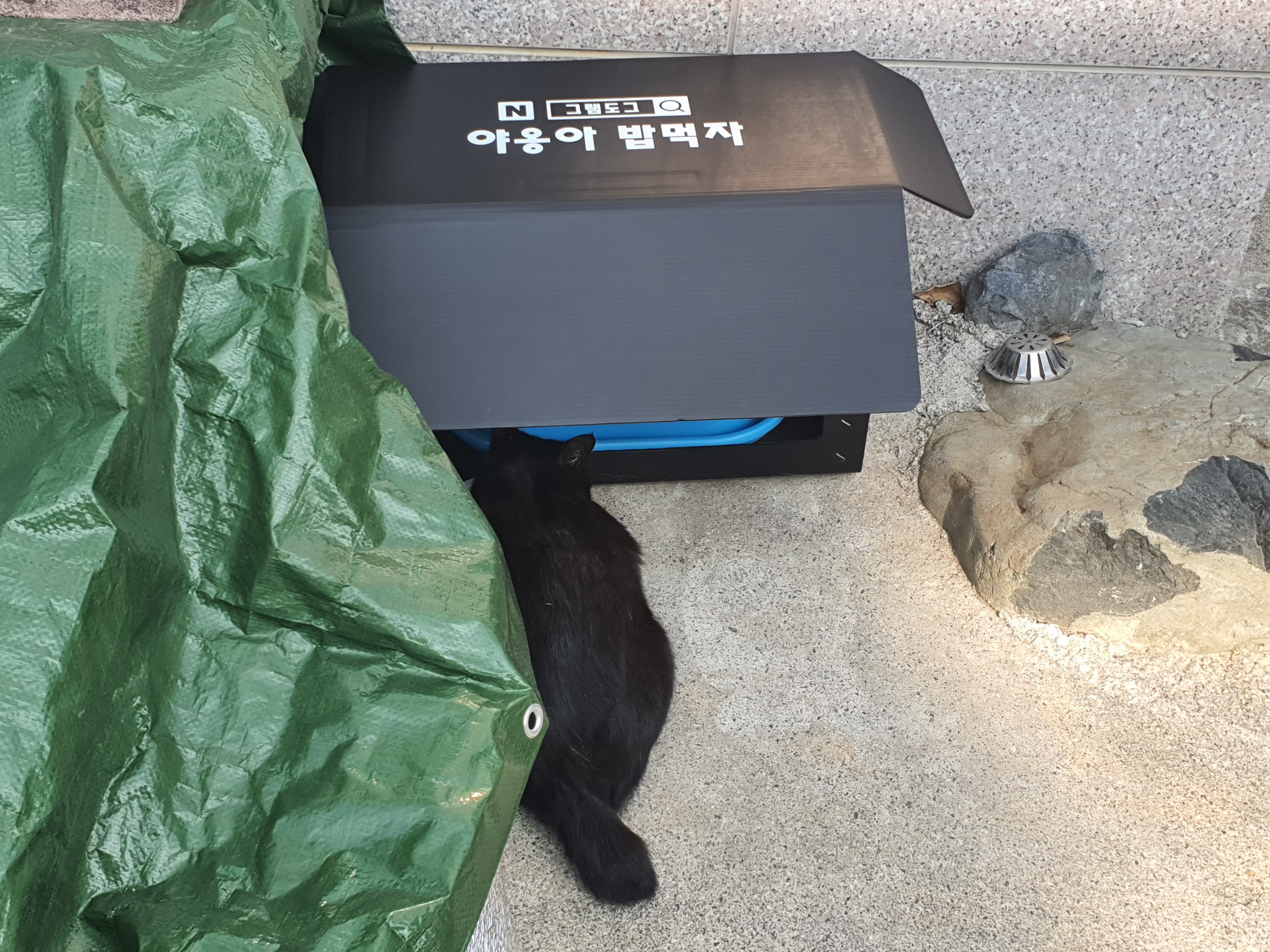 길냥이급식소 길고양이집 야외 실외 고양이집 급식소