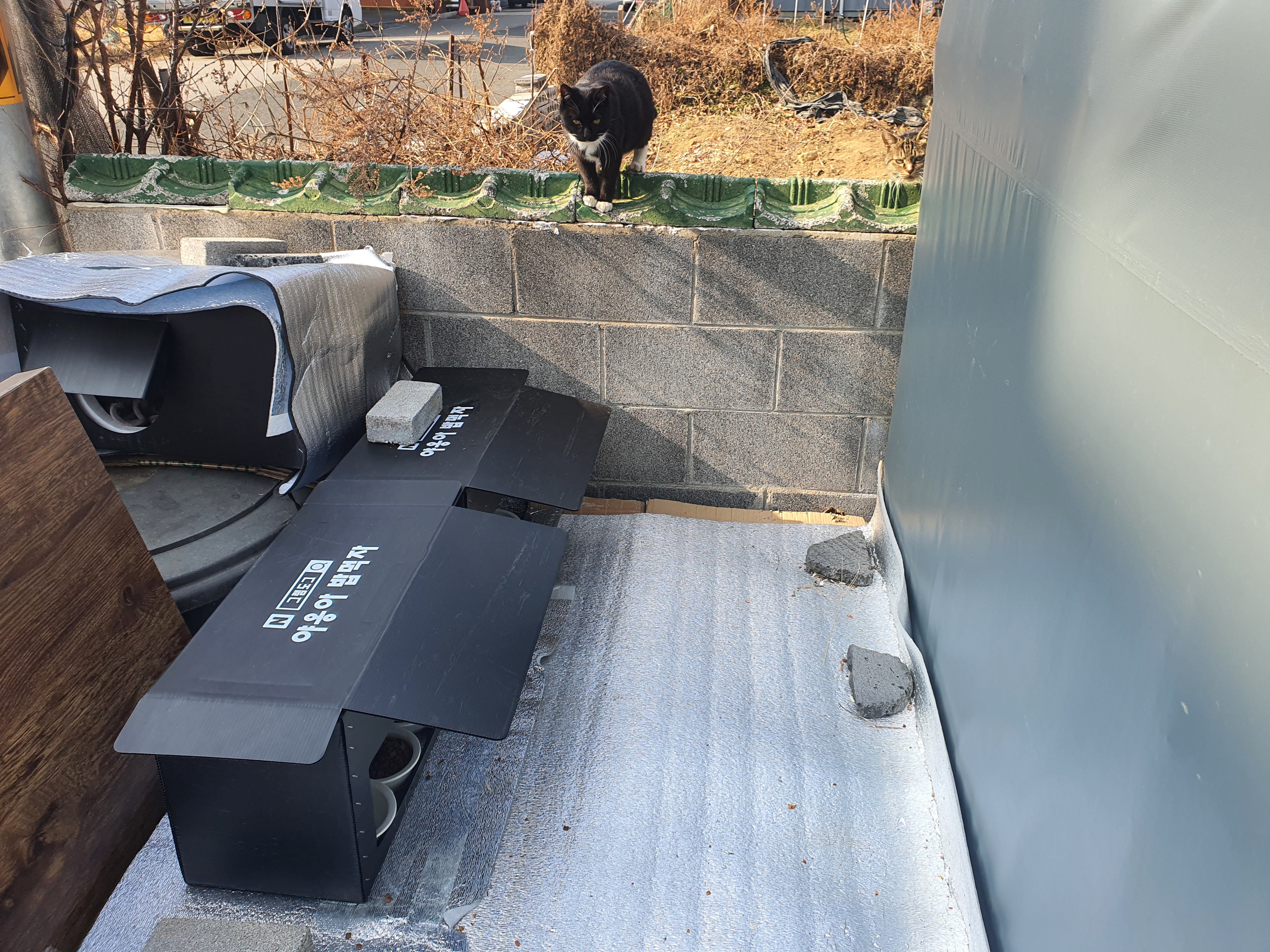 길냥이급식소 길고양이집 야외 실외 고양이집 급식소